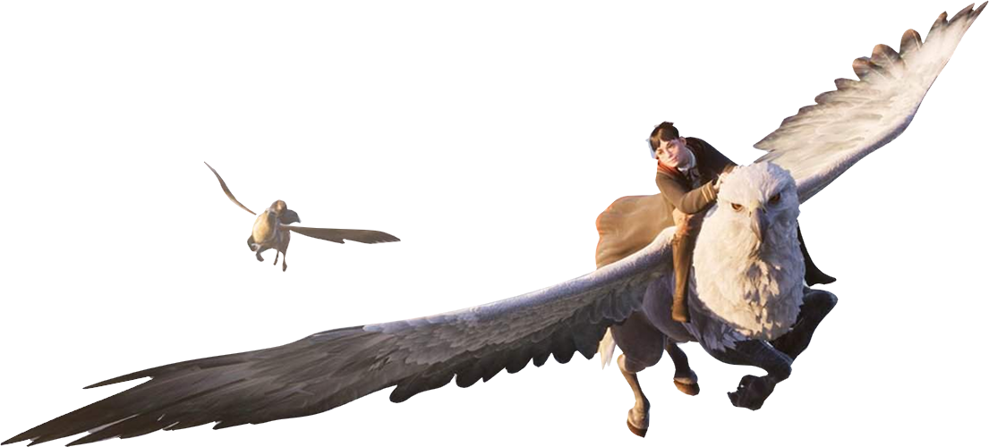 Hogwarts Legacy key: