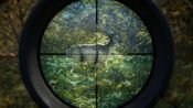 theHunter: Call of the Wild Steam Key GLOBAL