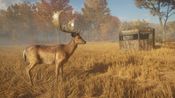 theHunter: Call of the Wild Steam Key GLOBAL