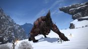 Final Fantasy XIV: Starter Edition Official website Key EUROPE for sale