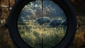 theHunter: Call of the Wild Steam Key GLOBAL