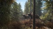 theHunter: Call of the Wild Steam Key GLOBAL for sale