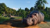Buy Planet Zoo (Deluxe Edition) Steam Key GLOBAL