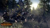 Total War: Warhammer - The Grim & The Grave (DLC) Steam Key GLOBAL