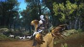 Final Fantasy XIV: Starter Edition Official website Key EUROPE