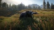 Buy theHunter: Call of the Wild Steam Key GLOBAL