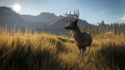 Get theHunter: Call of the Wild Steam Key GLOBAL